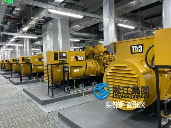 发电机SHM可调式弹簧减振器设备降噪